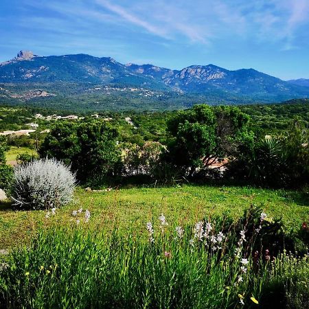 סוטה Appartements Avec Jardin Entre Porto-Vecchio Et Figari - Casa Mattiste מראה חיצוני תמונה