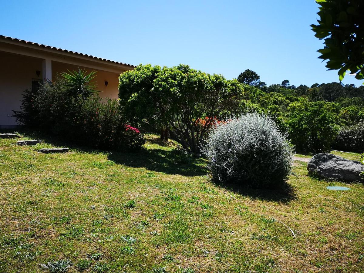 סוטה Appartements Avec Jardin Entre Porto-Vecchio Et Figari - Casa Mattiste מראה חיצוני תמונה