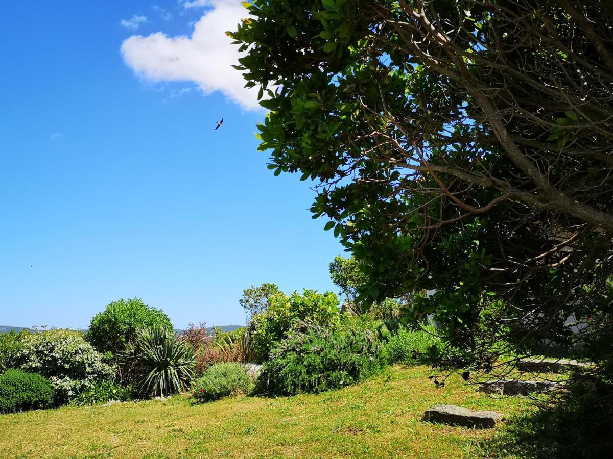 סוטה Appartements Avec Jardin Entre Porto-Vecchio Et Figari - Casa Mattiste מראה חיצוני תמונה